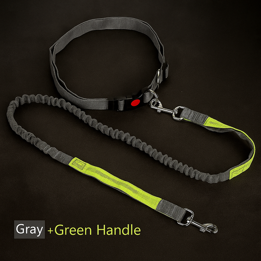 WalkEase Reflect Pro – Handsfree Hondenriem met Tailleband