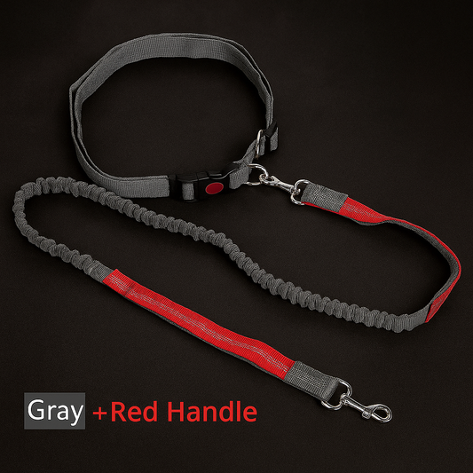 WalkEase Reflect Pro – Handsfree Hondenriem met Tailleband